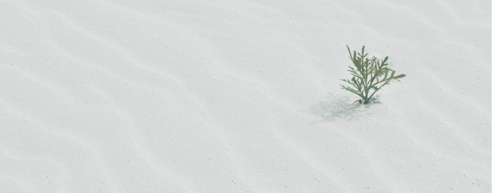 数秘術を使ったオンラインセッションを行なっています。
チャネリングやリーディングを用いて
あなたの本質を紐解いていきます。